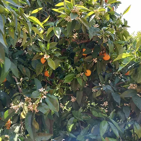 Βίλα Private , 5 Min Drive From The Μηνιά