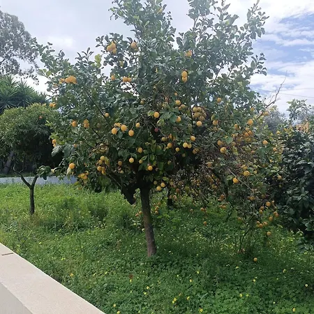 빌라 Private , 5 Min Drive From The *